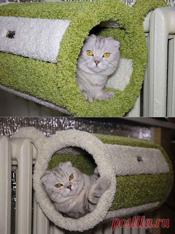 (+1) тема - Домик на батарею для кота. | ПИТОМЦЫ