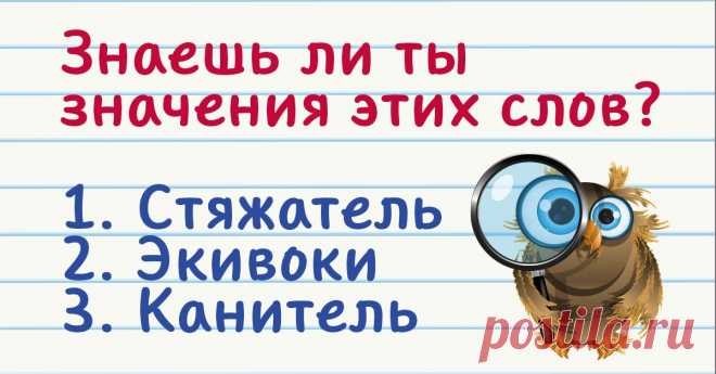 Коварные словечки, значение которых знают только умные люди Не помешает заглянуть в словарь.