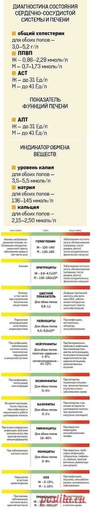 (58) О  ЧЁМ РАССКАЖЕТ  АНАЛИЗ  КРОВИ?