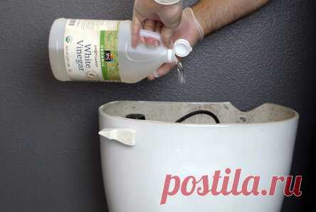 15 незатейливых советов, с которыми уборка в санузле перестанет быть проблемой