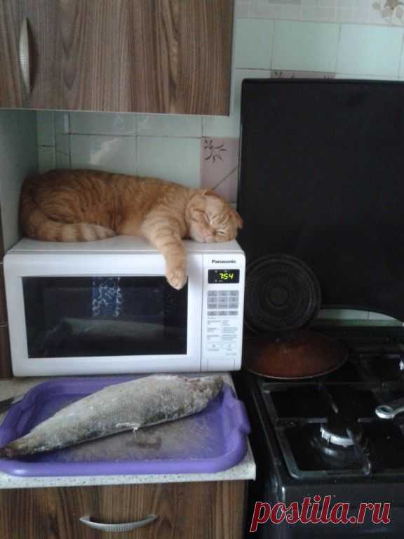 " Охраняет"