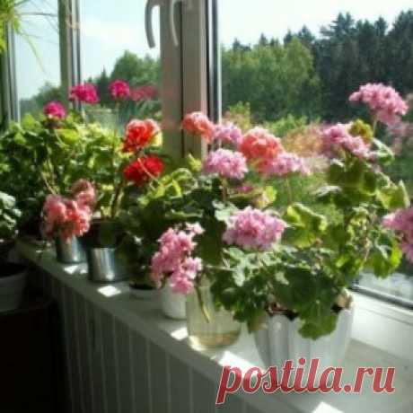 Просто сшить — удобно носить! Шьем удобное ta-ta-towel для большого бюста - МирТесен