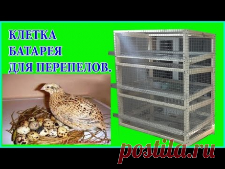 Как сделать клетку для перепелов / Каркасная клетка