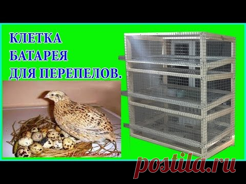 Как сделать клетку для перепелов / Каркасная клетка