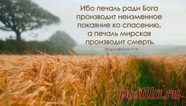 "Ибо печаль ради Бога производит неизменное покаяние ко спасению". (2-е Коринфянам 7:10) 
Обличение во грехе лучше всего передано в словах: 
Грехи мои, грехи мои, Спаситель… 
Как тяжек груз их на Твоих плечах! 
Обличение во грехе - одно из самых необычных переживаний, выпадающих на долю человека.