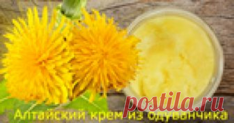 Алтайский крем из одуванчика