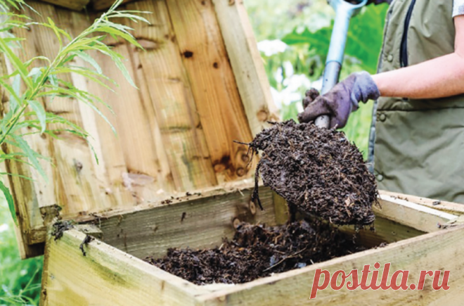 Чем заразить компост, чтобы он быстрее созрел - Огород, сад, балкон - медиаплатформа МирТесен Компост – это самое ценное, а главное, совершенно бесплатное удобрение, изготавливаемое из отходов. Только его всегда не хватает, а новая порция готовится шесть-девять месяцев. Поэтому многие садоводы озадачены, как ускорить его приготовление. Для этих целей можно применять как домашние заготовки,...