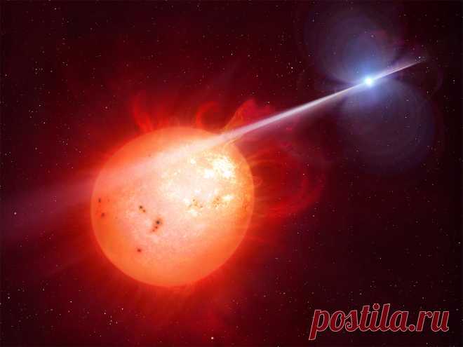 Mysterious white dwarf pulsar discovered Exoplanet Exploration: Planets Beyond our Solar System. Current news, discoveries, data, and interactive 3-D visualizations of exoplanets from NASA.