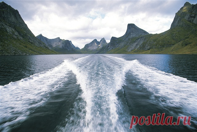 фото - Поиск в Google