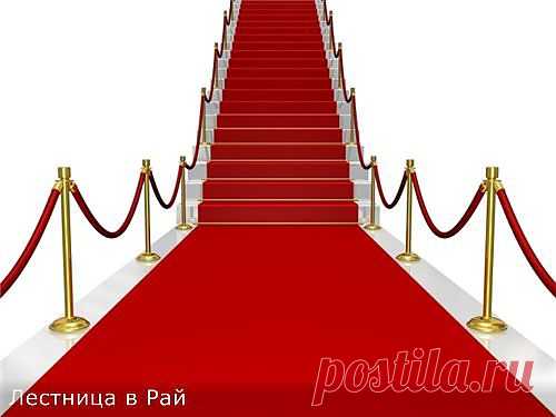 Сборники лучшей инструментальной музыки.Лучшее - только в Раю.