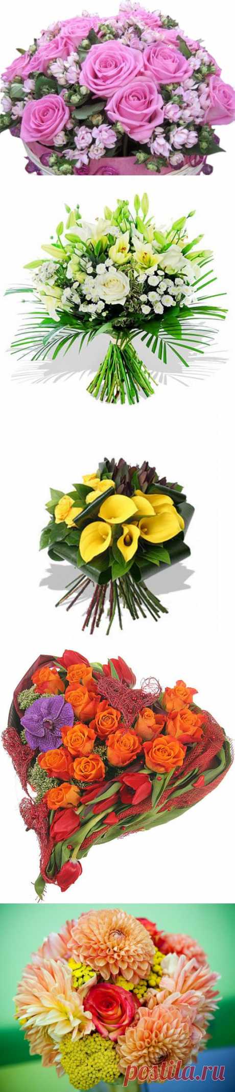 Составление букета из живых цветов, несколько советов.
