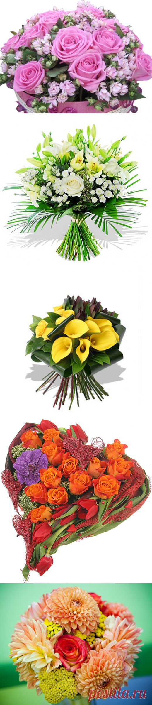 Составление букета из живых цветов, несколько советов.