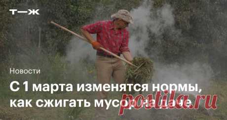 Штрафы останутся прежними