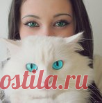 Советы для кухни