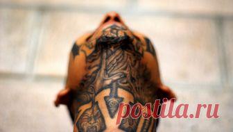 Как выглядят самые жестокие и опасные бандиты Латинской Америки - Mail Новости