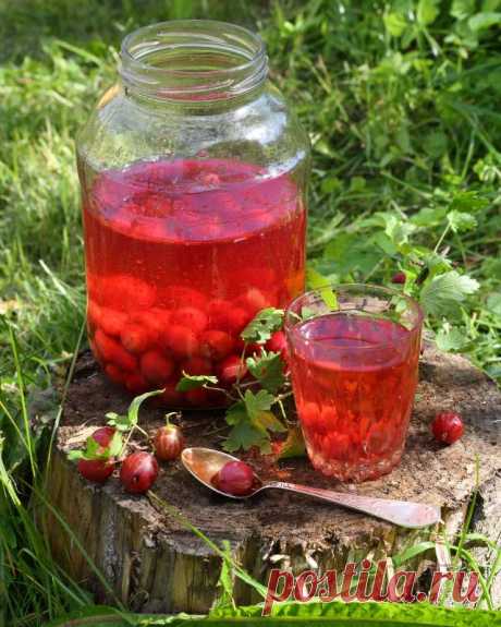 Консервированный компот из крыжовника — Домашние заботы