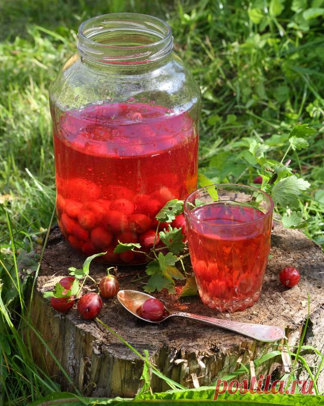 Консервированный компот из крыжовника — Домашние заботы