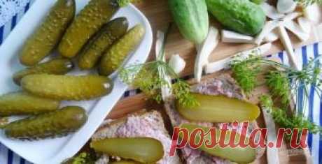 Рецепт соленых огурцов хрустящих - пошаговый рецепт с фото на Повар.ру