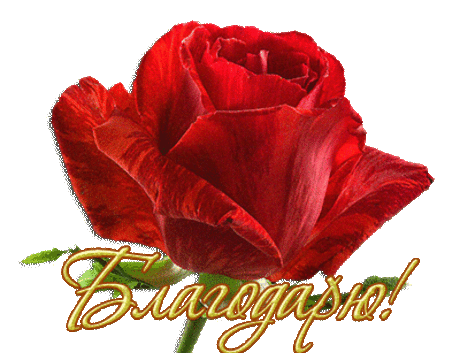 благодарю