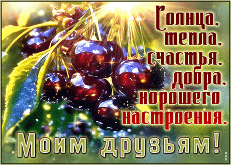 Забавная гиф-открытка, солнца и тепла моим друзьям