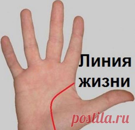 Этот пост позволит вам погадать по руке самостоятельно!