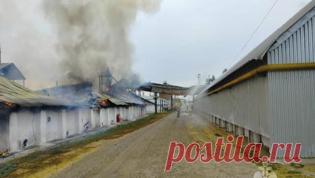 В Татарстане вспыхнул зерносклад. В Татарстане произошел пожар на территории хлебоприемного предприятия. Об этом сообщает управление МЧС по региону. Инцидент произошел в городе Заинск. На территории зерносклада вспыхнуло отдельное здание из железобетонных плит. Пожарные ...
