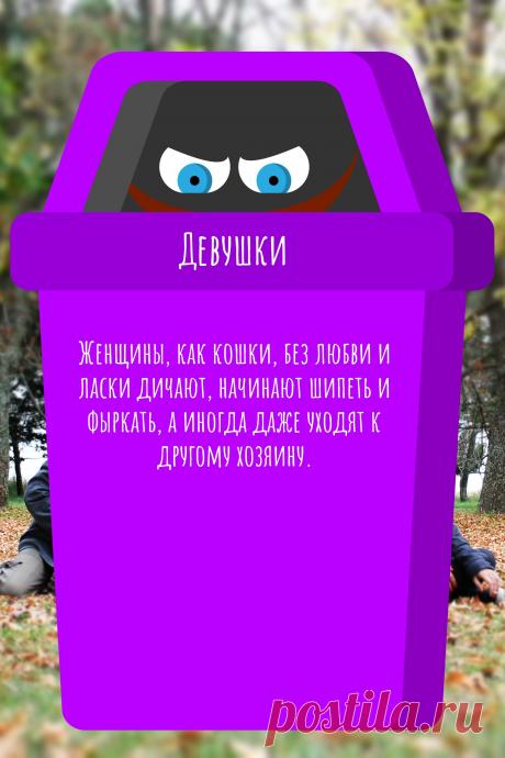 Цитата про «Девушек» — Женщины, как кошки, без любви и ласки дичают,…