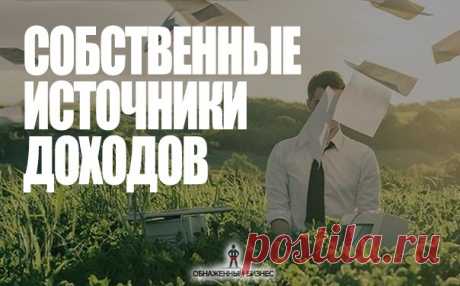 Собственные источники доходов. 

Еще 50 лет назад большинству семей для выживания требовался всего один источник дохода. Сегодня лишь немногие семьи в состоянии свести концы с концами, имея один – два источника дохода. 

Будущее мало предсказуемо, поэтому давайте рискнем предположить, что вряд ли кому-то удастся удержаться на плаву, не имея множественных источников дохода. 
Показать полностью…