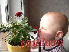 Одноклассники