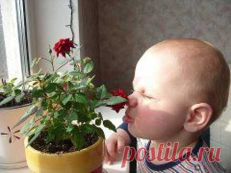 Одноклассники