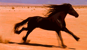 tumblr_orouf7sJiz1r4or01o1_400.gif (300×174)