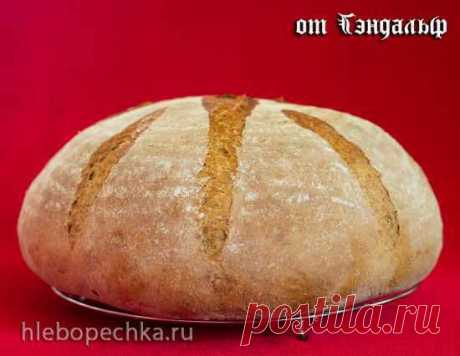 Спельтовый хлеб от Гэндальф - ХЛЕБОПЕЧКА.РУ - рецепты, отзывы, инструкции