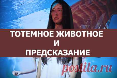 Тотемное животное и предсказание