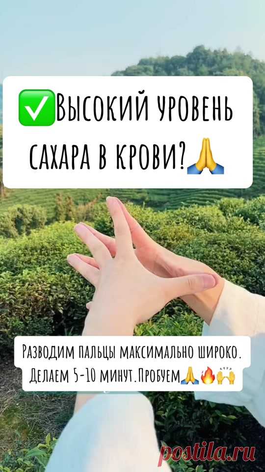 Андрей Шахлай CYPRUS (@squash_nutrition) | TikTok