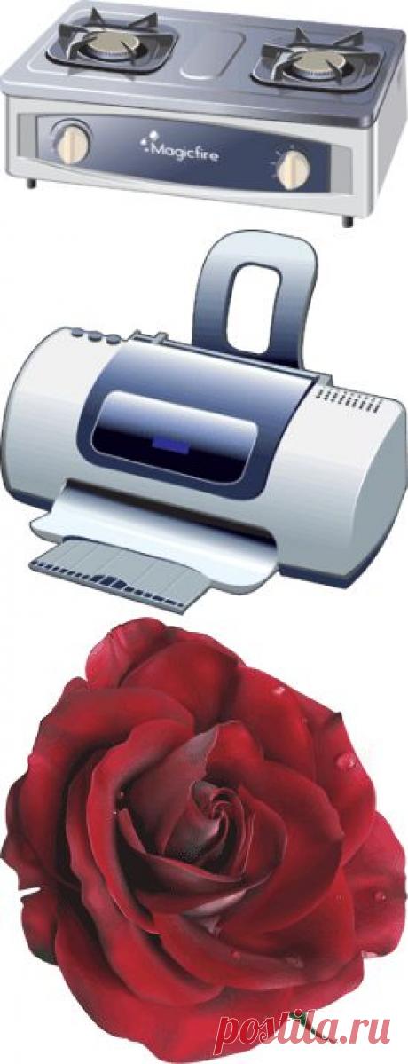 21 Октября 2009 - Векторная графика