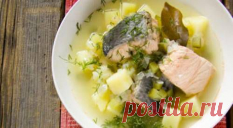 Рыбная калья / Простые рецепты