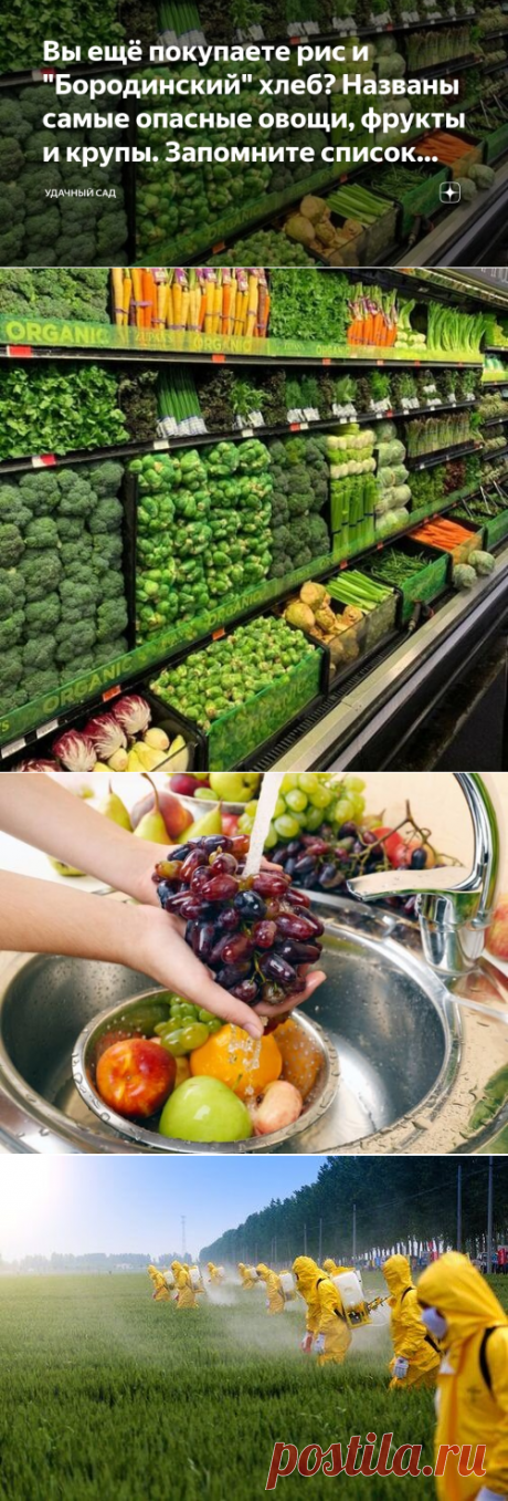 Вы ещё покупаете рис и "Бородинский" хлеб? Названы самые опасные овощи, фрукты и крупы. Запомните список продуктов из «Грязной дюжины»! | Фазенда 🌳 | Дзен