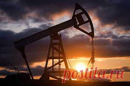 В России ученые искали нефть и потеряли опасную радиоактивную капсулу. В Иркутской области группа исследователей потеряла опасный радиационный источник с цезием-137, когда отправилась к Чаяндинскому месторождению в поисках нефти. Об этом сообщает Baza в Telegram-канале. Ученые двигались к месторождению из Усть-Кута с 12 по 13 января. Они взяли с собой опасный радиационный источник.