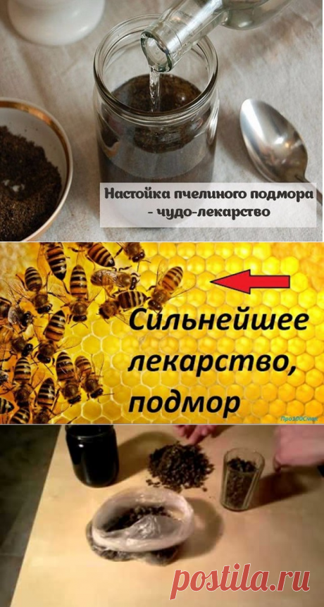 Пчелиный подмор