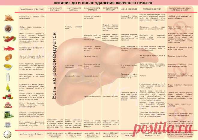 Питание после удаления желчного пузыря с первых дней до 1 года