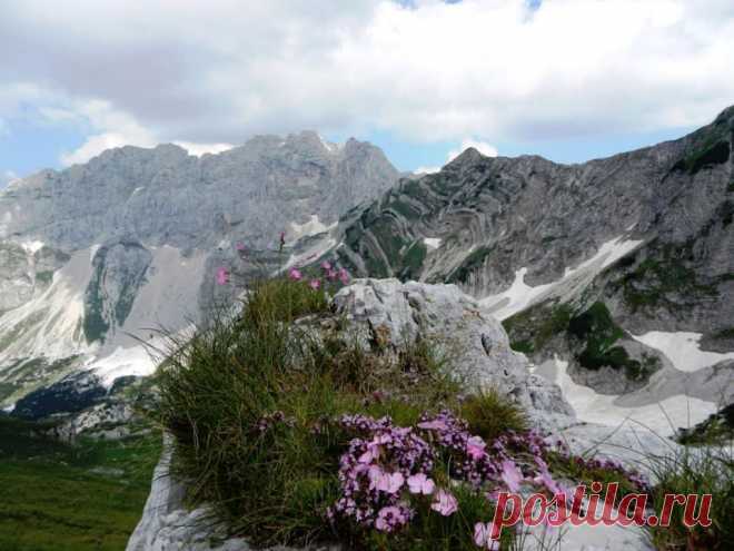 (5) Turistička Organizacija Žabljak
