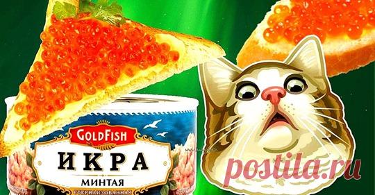 Икра минтая из манки? Посмотрите, как просто!