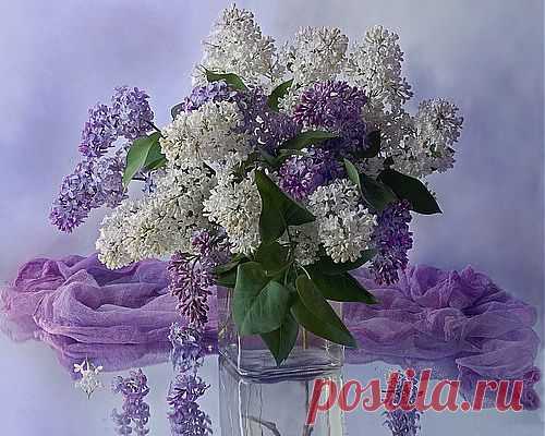 Плейкаст «ТОЛЬКО ДЛЯ ТЕБЯ!!!»