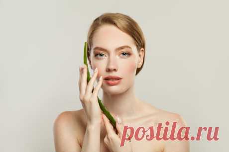 Алоэ от морщин | Woman.ru