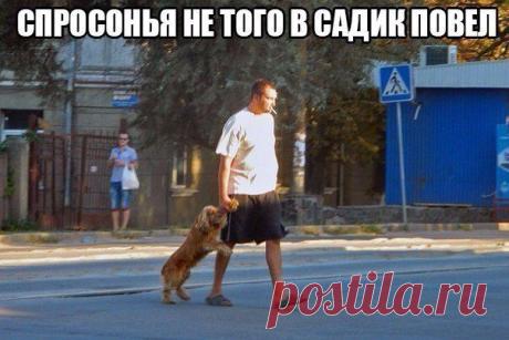 Вы бы хотели узнать, как можно зарабатывать дома с помощью Интернет? Международное спонсирование. Быстрый карьерный рост. Вся работа ведется только в сети интернет. Требуется немного свободного времени и доступ в интернет.