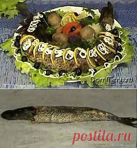 Рецепт приготовления фаршированной щуки по всем правилам | DomMenu.ru