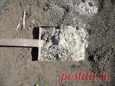 Дача ВИКТОРиЯ: Известковать ли почву?