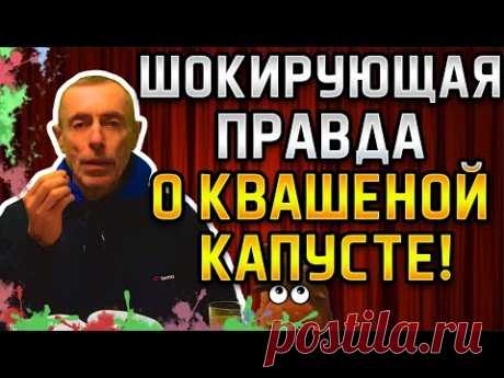 ПРАВДА О КВАШЕНОЙ КАПУСТЕ! Островский. Лактобактерии, квашеная капуста, запор, пищеварение, квашение - YouTube