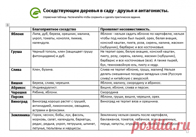 Совместимость плодовых деревьев в Вашем саду. Скачайте таблицу совместимости плодовых растений. Узнайте условия, которые нужно выдержать, чтобы Ваш сад был лучшим в округе и давал максимальный урожай.