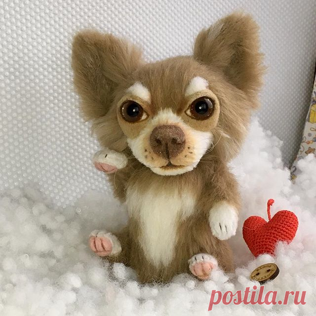 Маленькая Чихуахуа с большим сердцем!🐕Не лает, не кусает , только согревает!☀️. Малышка ростом 16см до ушей. Появилась благодаря совместным усилиям с Катей Макогон @katyamakogon 🤗🤗. #chihuahua#toydog #чихуахуа #собачка #игрушкасобака #портретпитомца #собака #мастеркрафт#dog #toy #artist #artlife  #teddybear #мишкитедди #собачкатедди #artoninstagram  #toyterrier #dogportrait #dog  #memorypet #memorydog  #chihuahualove #Chihuahuapotogram #creamwhite #仲良しこよし #体型全くちゃうから可愛らし...